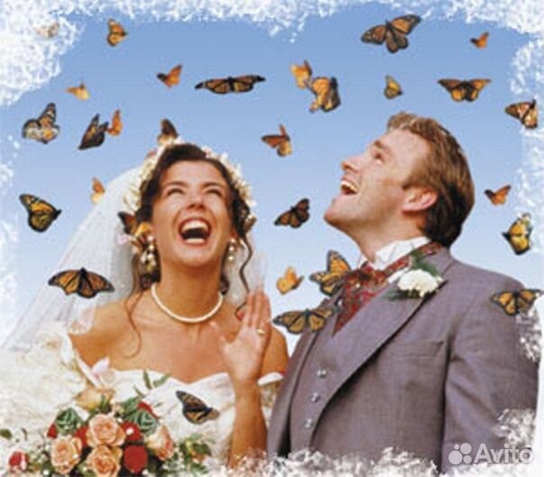 Франшиза Салюты из Живых Тропических Бабочек 2903