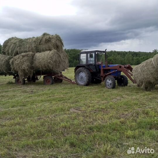 Сено ангарное, доставка
