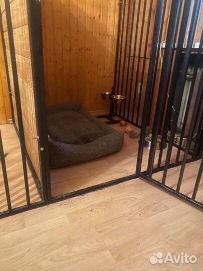 Гостиница для животных