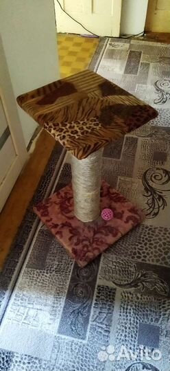 Когтеточка