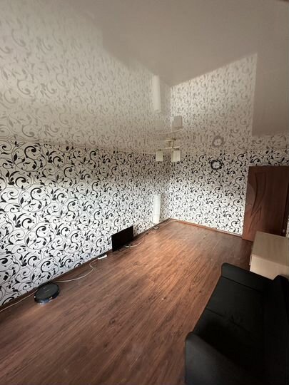 1-к. квартира, 46,1 м², 3/3 эт.