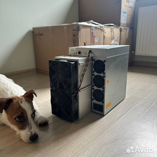 Asic bitmain antminer s19 110th