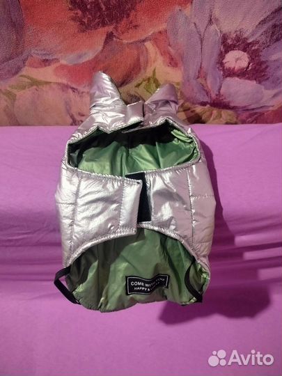 Вещи для собаки