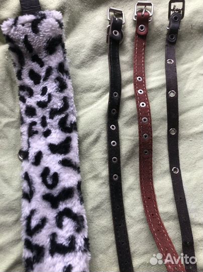 Шлейка с поводком, ошейники