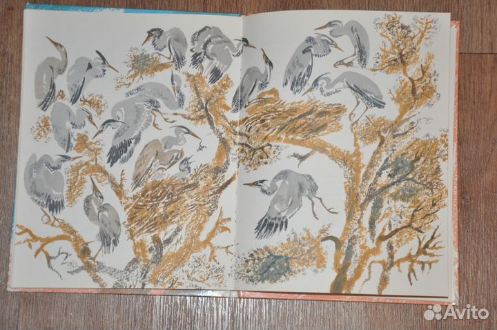 Книги о природе для детей