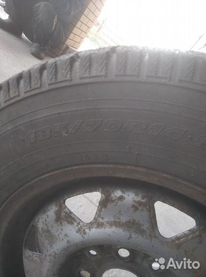 Toyo M65 185/70 R14