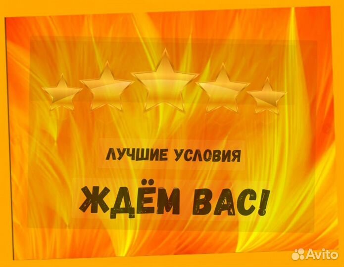 Этикеровщик без опыта Хорошие условия+Спецодежда