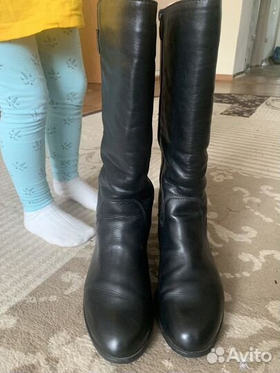 Сапоги осенние