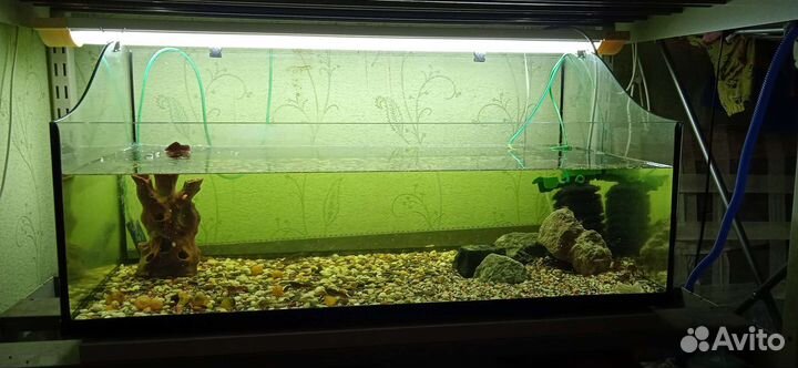 Акватеррариум 150 л