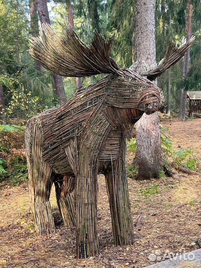 Куршская коса экскурсия