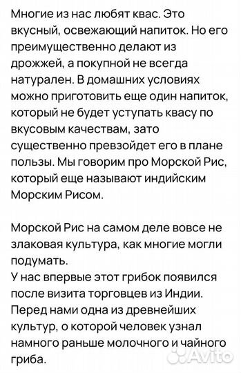 Индийский морской рис