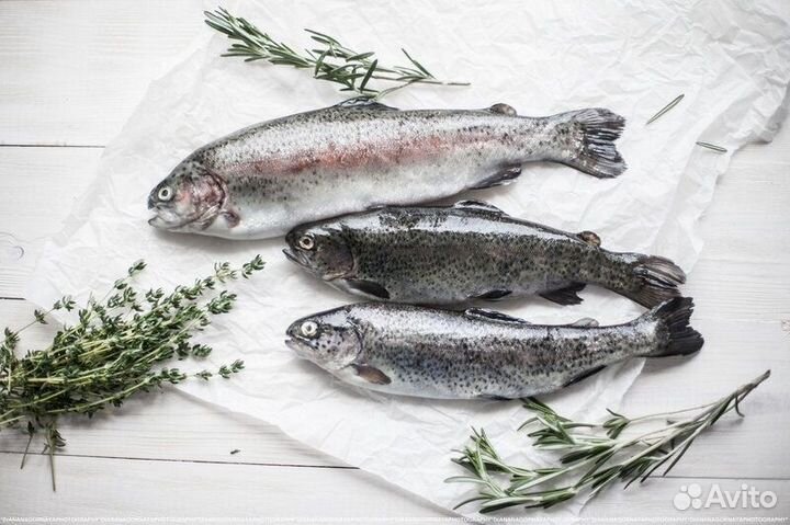 Форель порционная