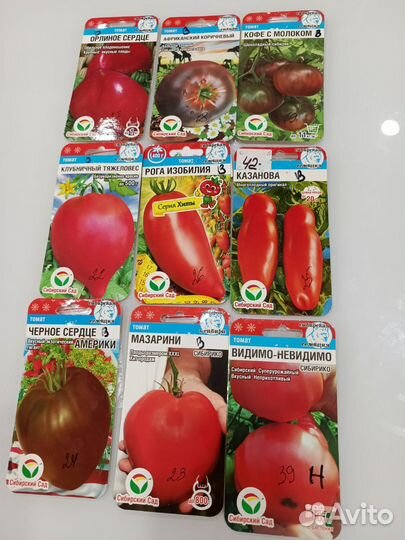 Рассада помидор, перцы и балажаны