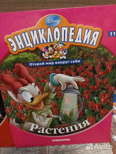 Энциклопедия дисней