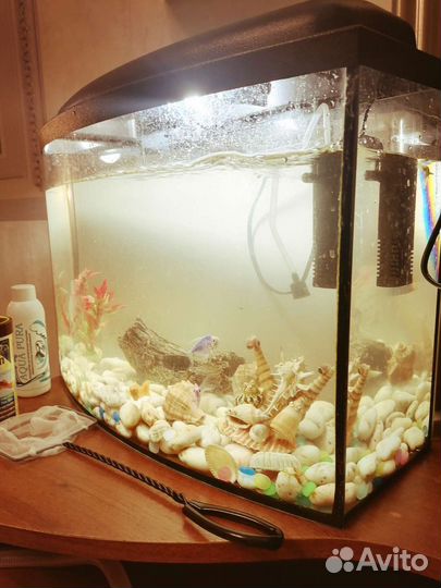 Продам аквариум с рыбками на 20 литров с рыбаами