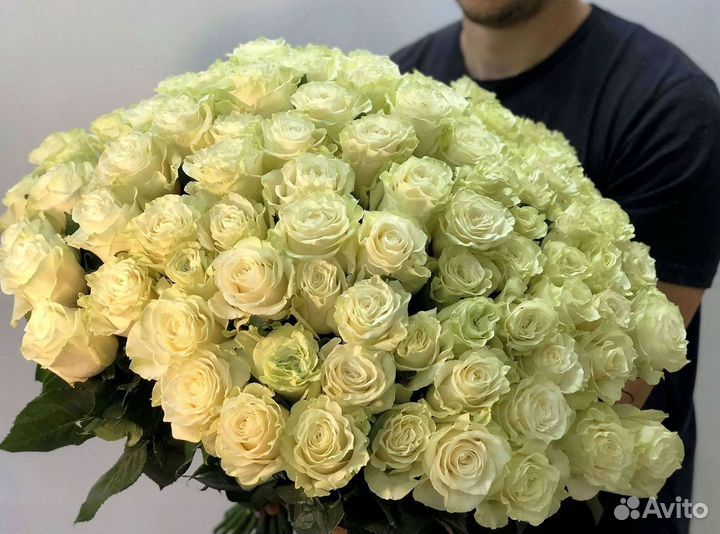 Розы гиганты 140 150 160 170 180 200