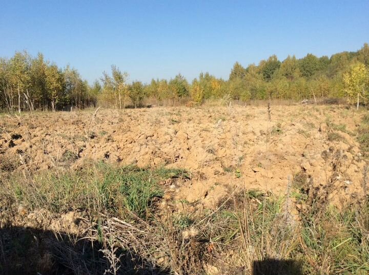Участок 10 сот. (СНТ, ДНП)
