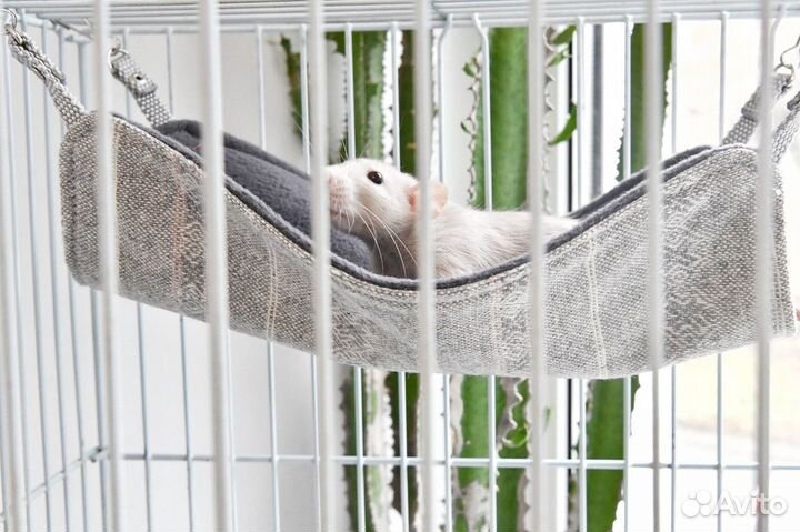 Гамак для крыс