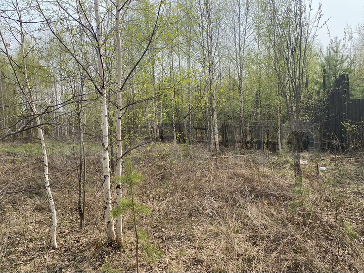 Участок 6,9 сот. (СНТ, ДНП)