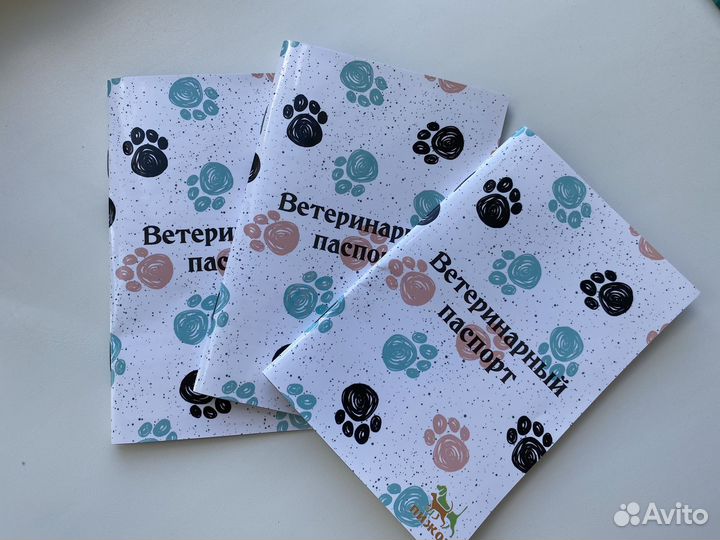 Щенки чихуахуа