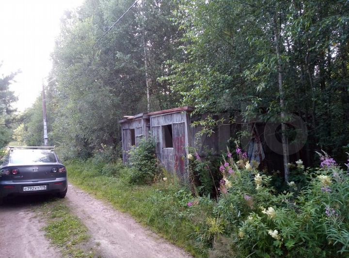 Участок 7,5 сот. (СНТ, ДНП)