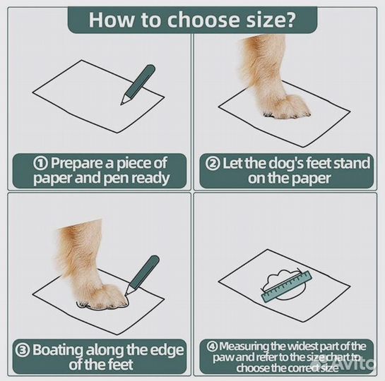 Собачьи ботинки