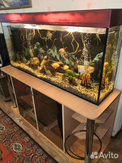 Аквариум 200 л с тумбой