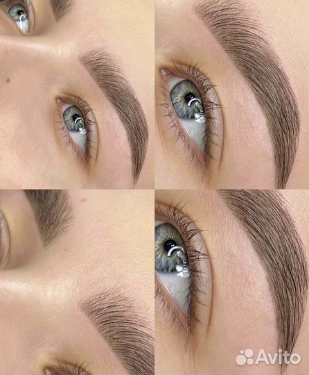 Обучение курс бровист