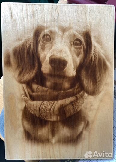 Картины на заказ А4 выжигателем