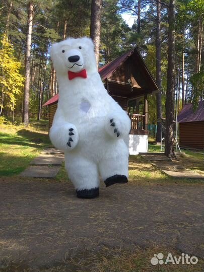 Поздравление Белого Мишки 3 метра