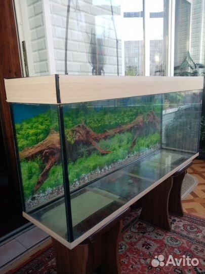Аквариум бу 200литров