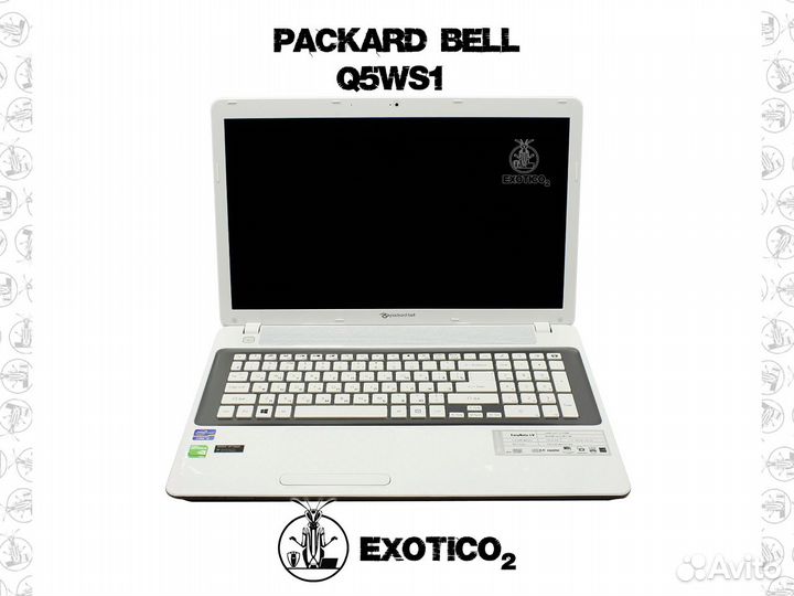 Packard Bell Q5WS1 Запчасти