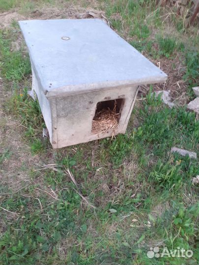 Будка для собаки