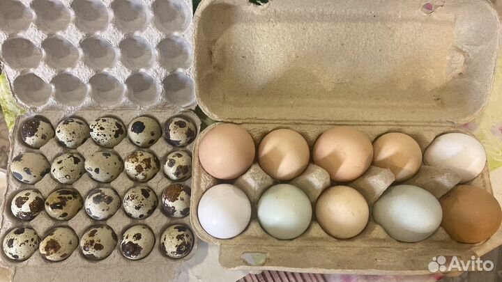 Яйцо домашнее столовое