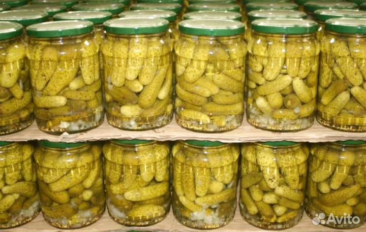 Маринованные огурцы оптом