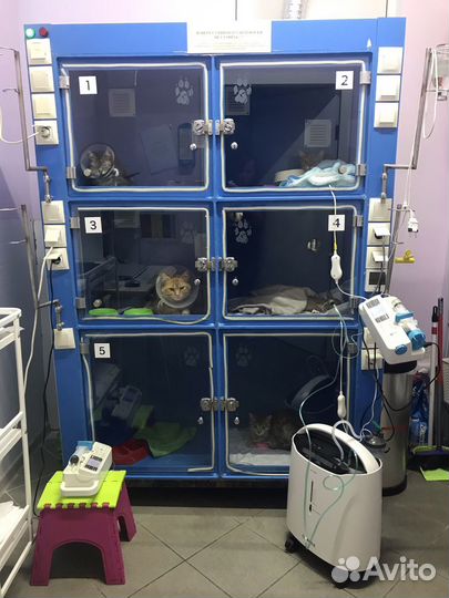 Ветеринарный врач Краснодар