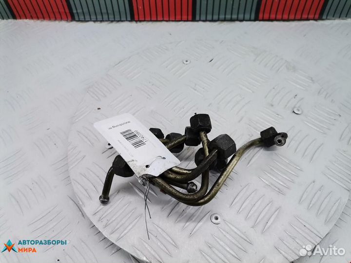 Трубка топливная Nissan Primera P12 2004