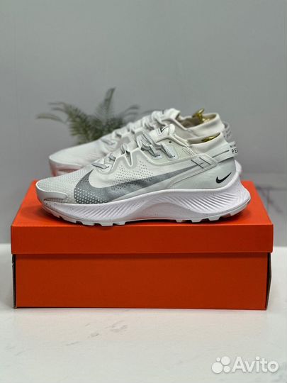 Кроссовки мужские Nike Pegasus Trail 2