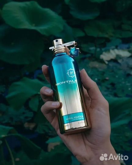 Montale Herbal aquatica 2 ml