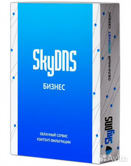 Skydns Бизнес. 30 лицензий на 1 год SKY Bsn 30