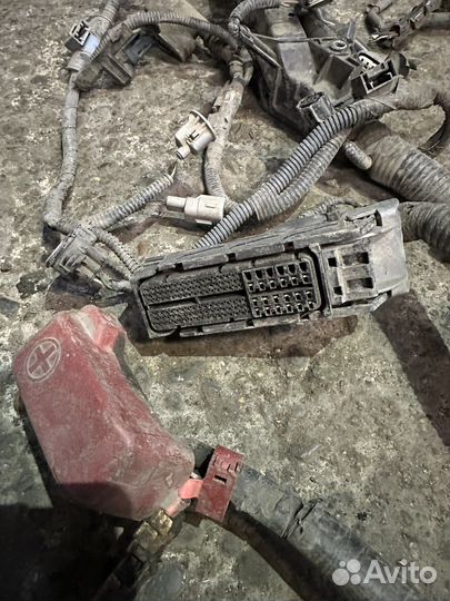 Коса двс Toyota Corolla E150