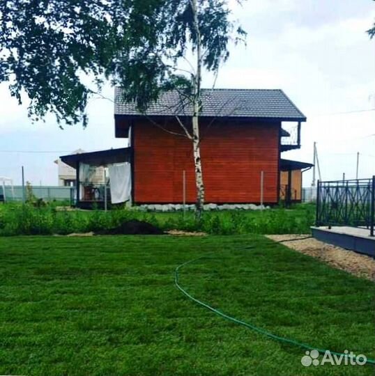 Рулонный газон