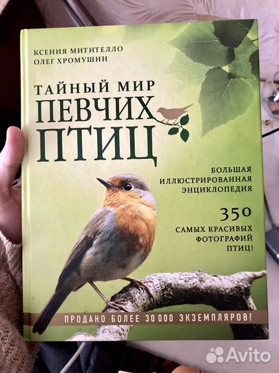 Книга Тайный мир Певчих птиц