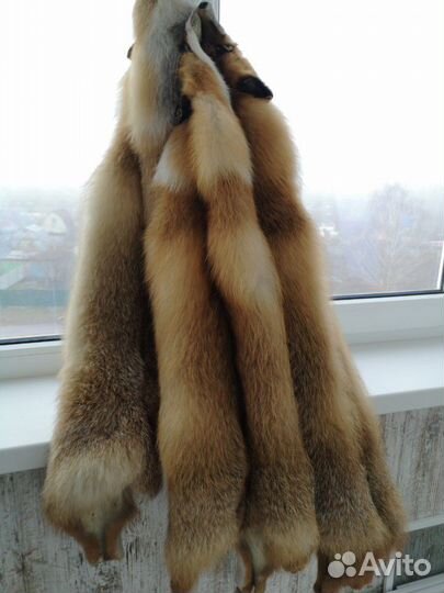 Шкуры лисы