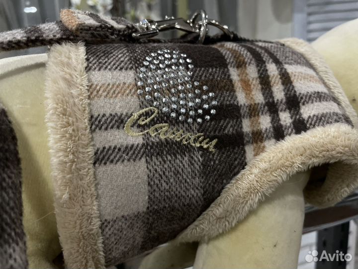 Одежда и обувь для собак