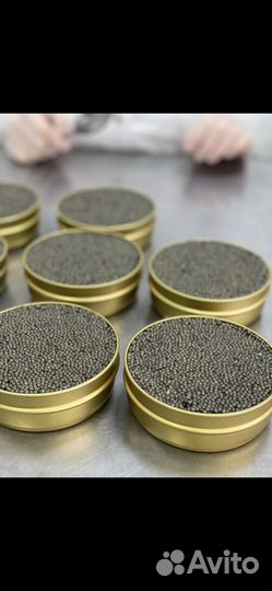 Икра Красная, оптом и в розницу