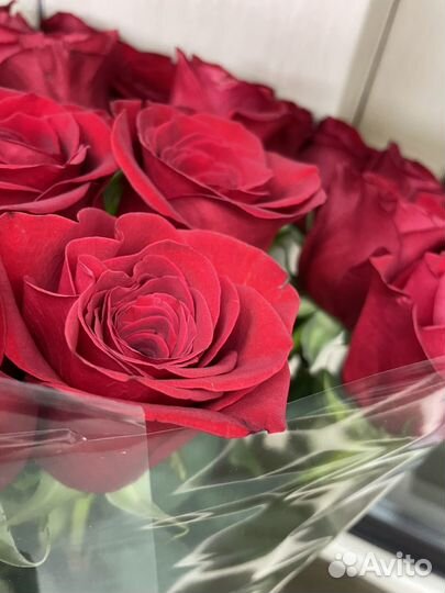 Гигантские розы 100-180см с доставкой 24/7