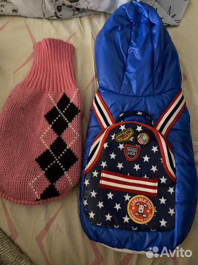 Вещи для собак