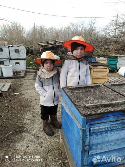 Мед цветочный