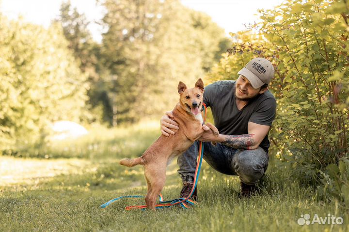 Крошка Лулу ищет маму